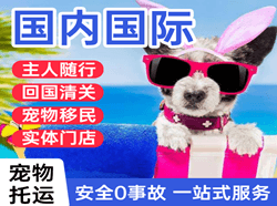 双流航空邮寄国际宠物托运 【国